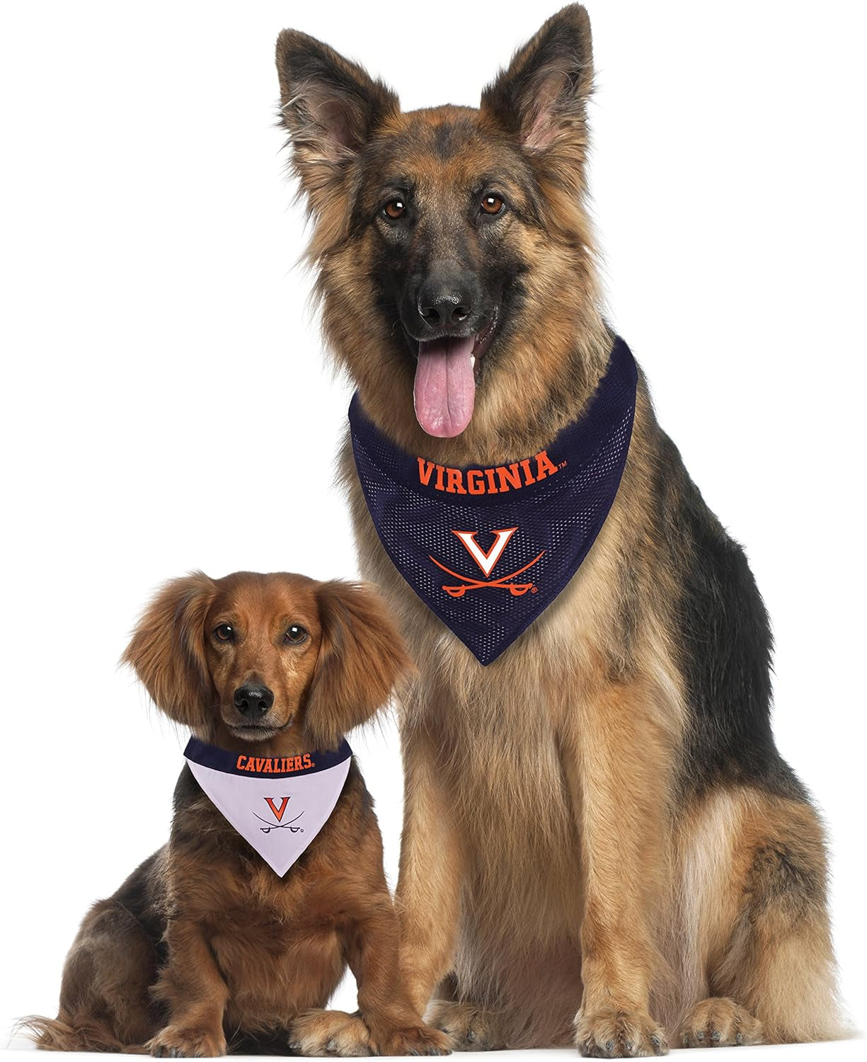 Collegiate Pet Accessories, Reversible Bandana, Virginia Cavaliers, Large/X-Large