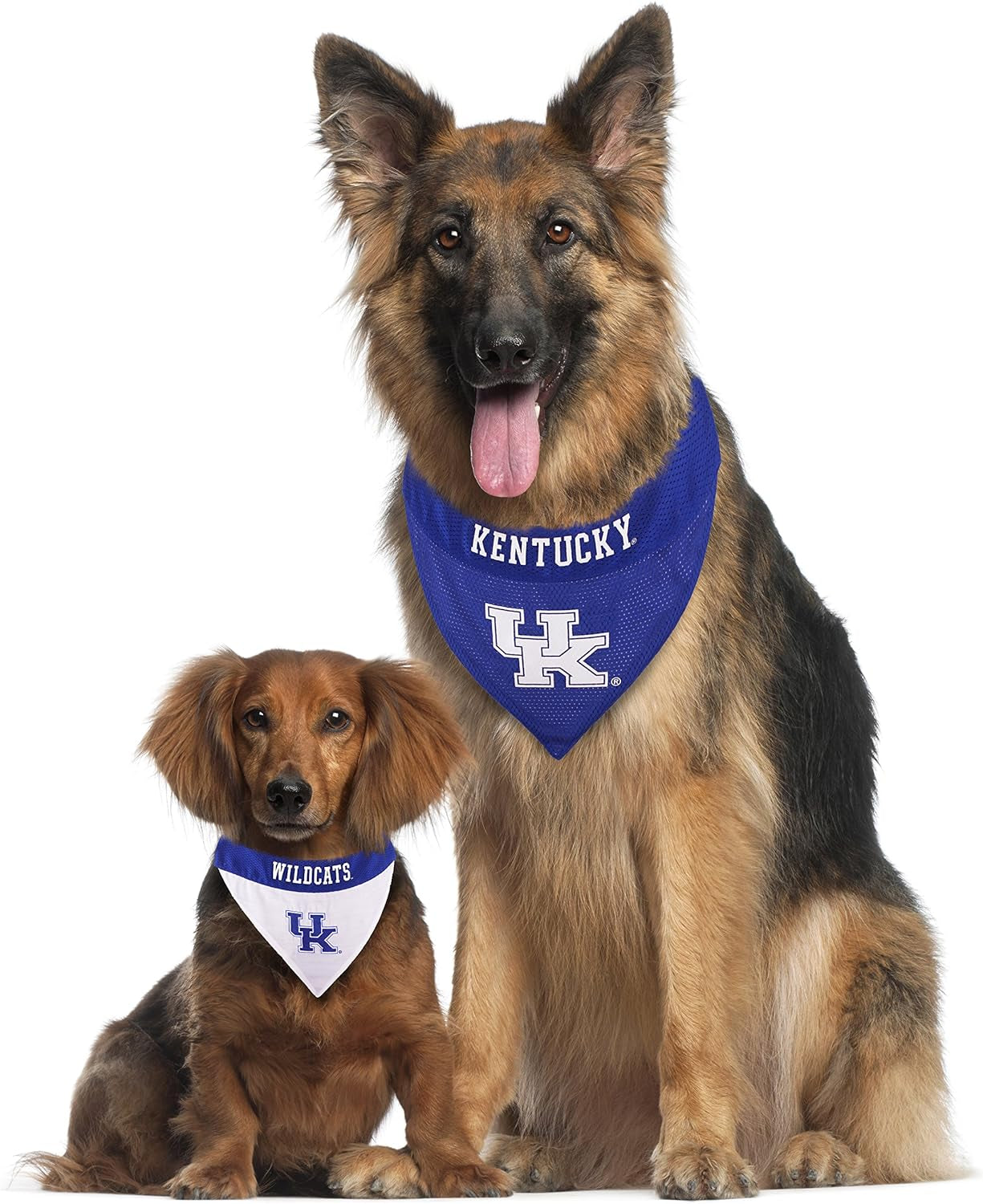 Collegiate Pet Accessories, Reversible Bandana, Kentucky Wildcats, Small/Medium