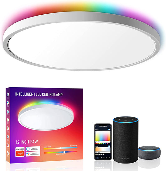 Lampara LED De Techo 24W 2.4 Wifi Cambio Color Luz Para Cuarto Sala 12 Pulgadas